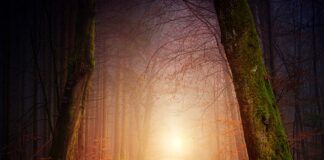 Jakie oświetlenie w pokoju?