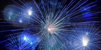 Co zamiast sztucznych kwiatów na cmentarz?