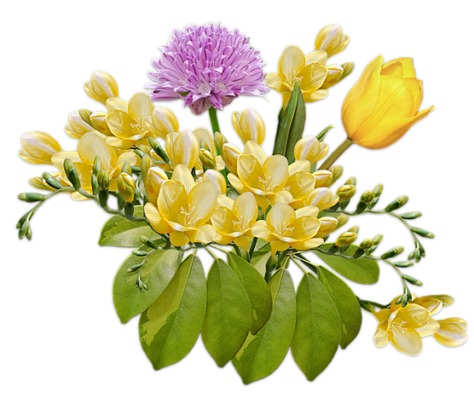 Jakie wiązanki na 1 listopada?