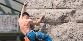 Ile kosztuje Ścianka z lameli?